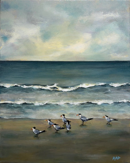 Coastal Companions
