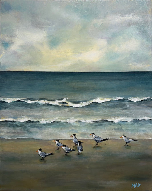 Coastal Companions