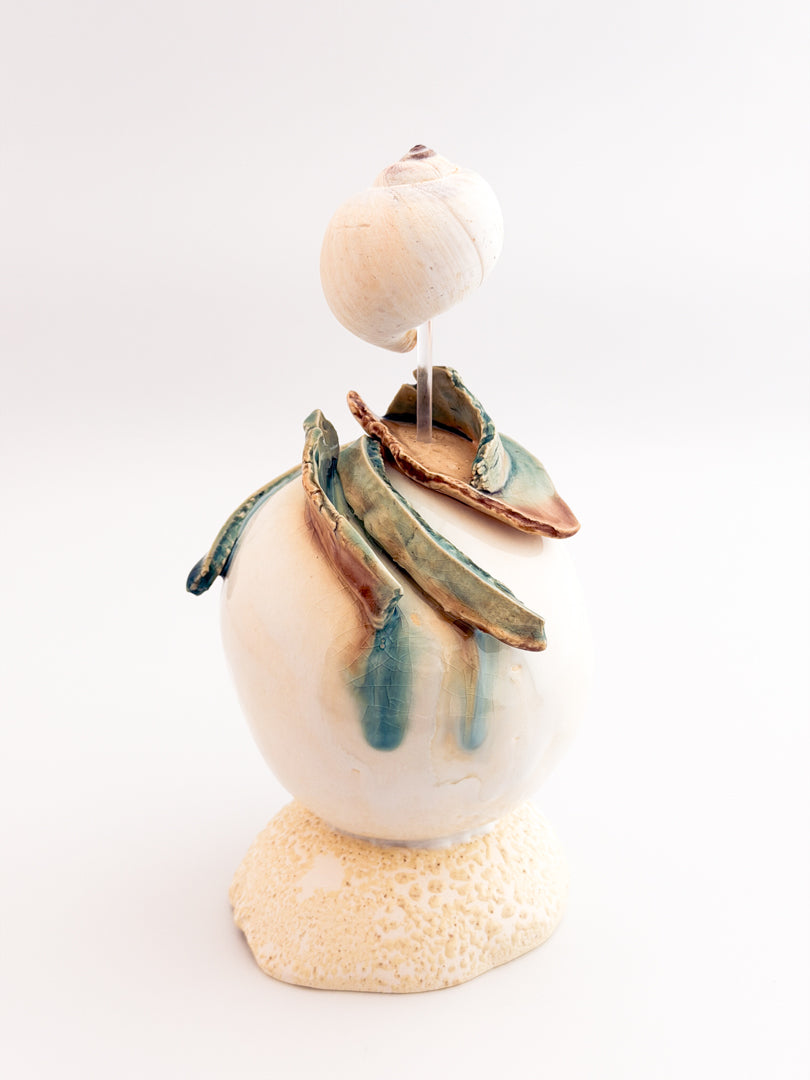 Moon Shell Orb