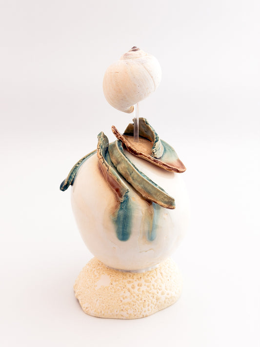 Moon Shell Orb