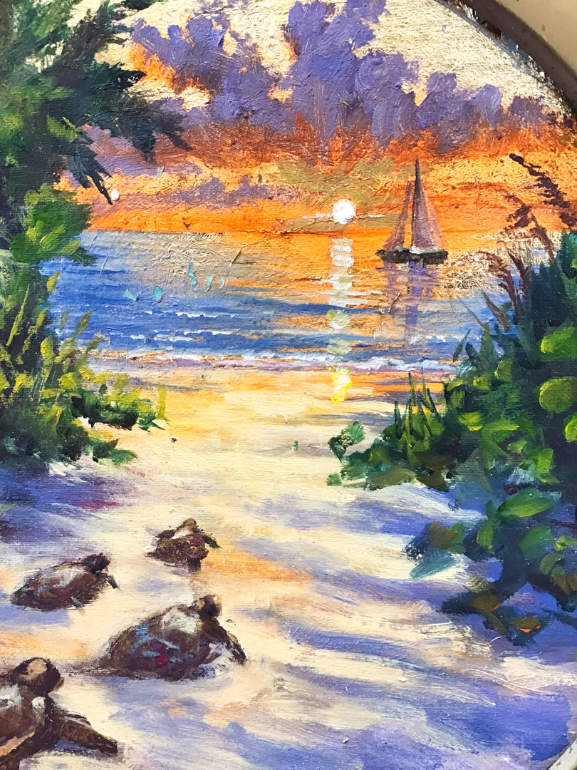 Turtles on the Beach