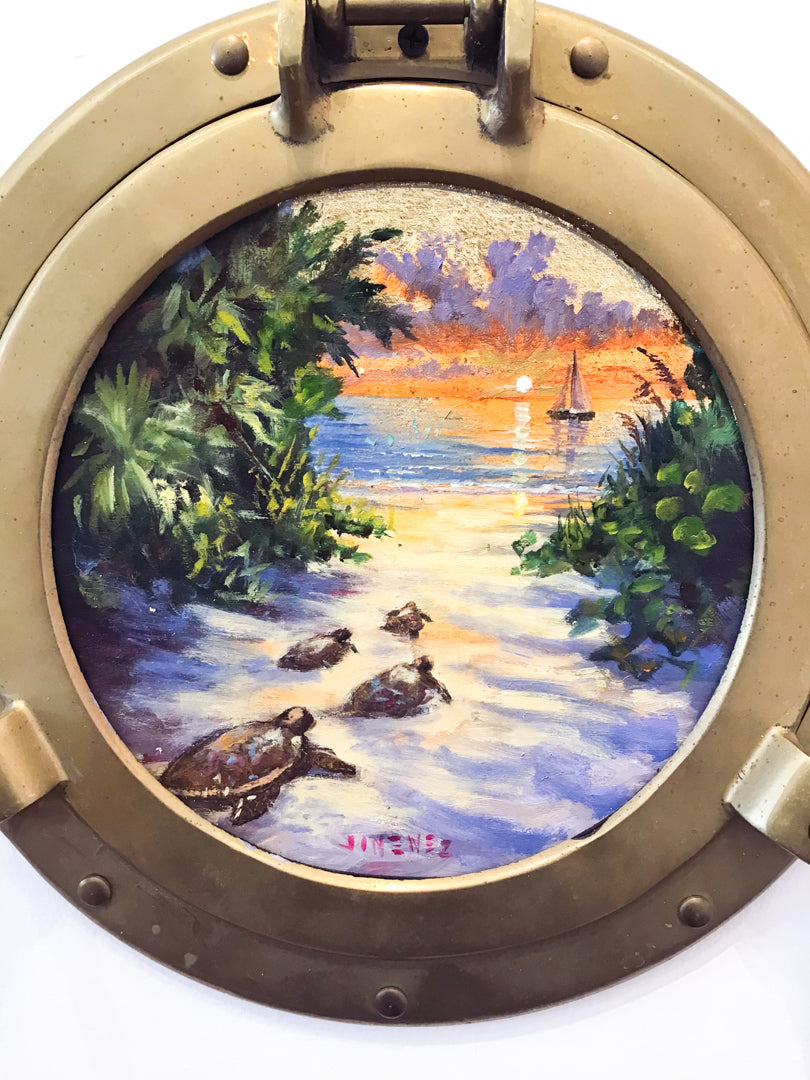 Turtles on the Beach