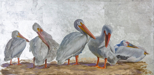 Pelicans Sitting on a Seawall