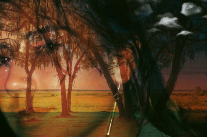 Portrait of a girl artistically layered over an image of  trees with a high sun in the background. Clouds emerge in front of the trees on the right side. 