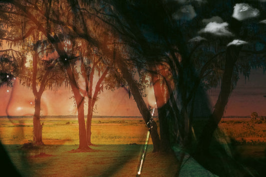 Portrait of a girl artistically layered over an image of  trees with a high sun in the background. Clouds emerge in front of the trees on the right side. 