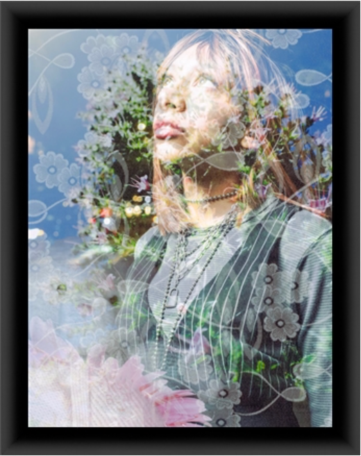Lolita