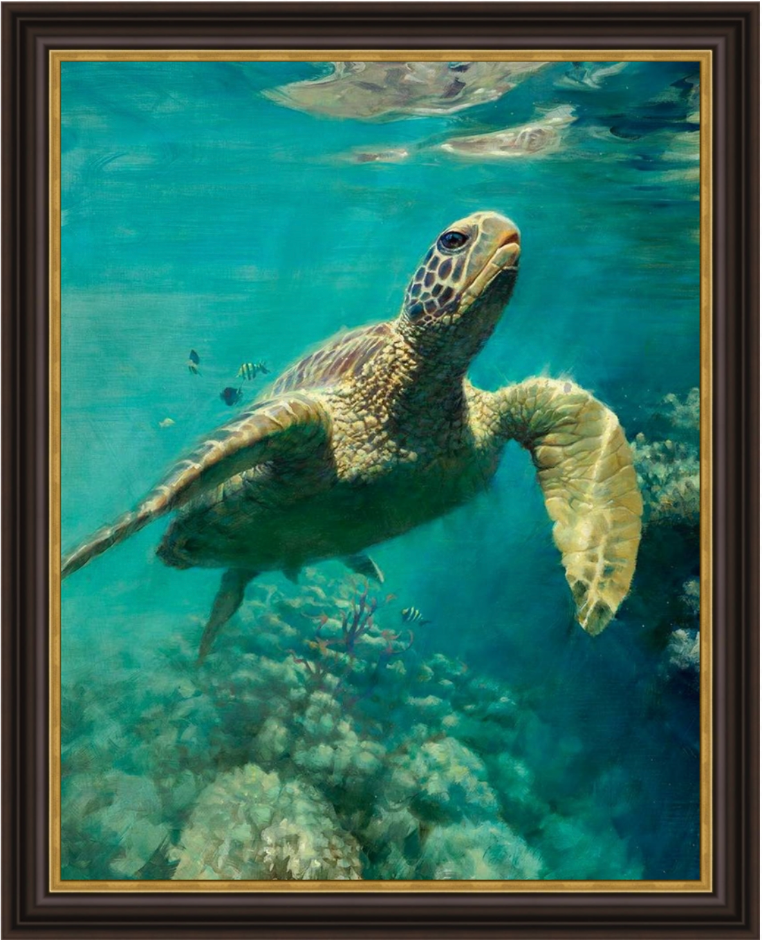 Honu - Sea Turtle