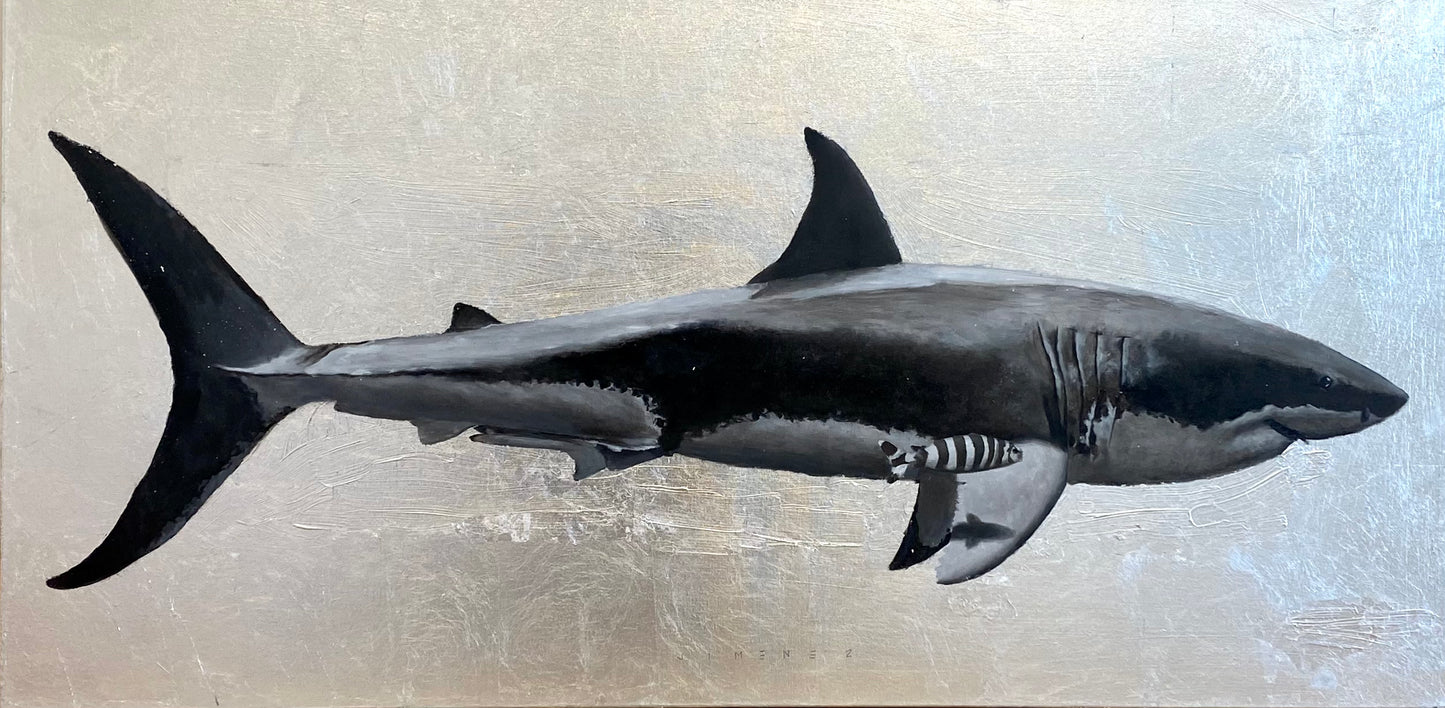 Shark (Paper Print)