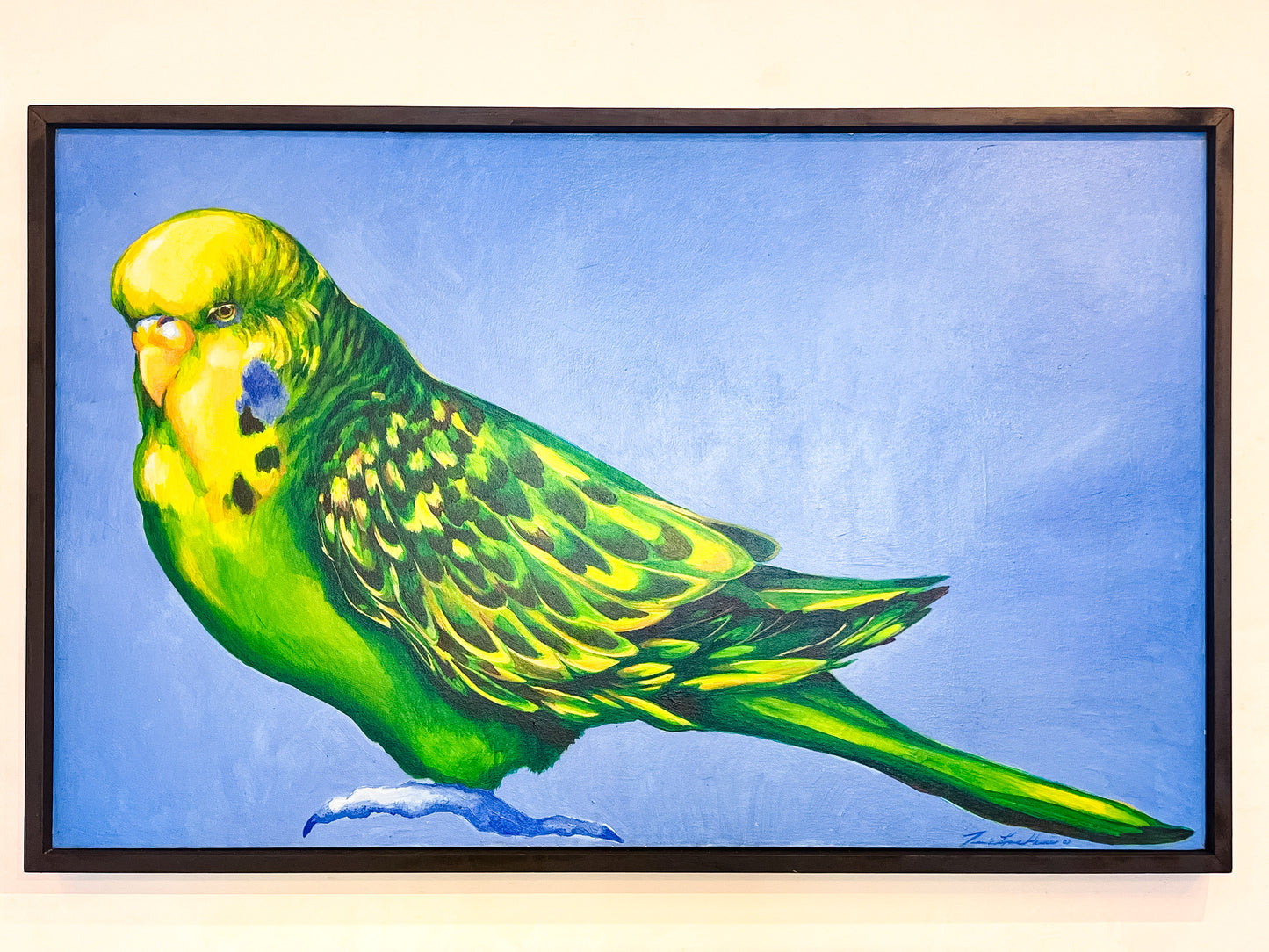 Parakeet