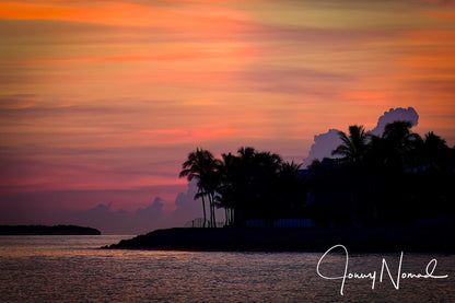 Pastels in Paradise