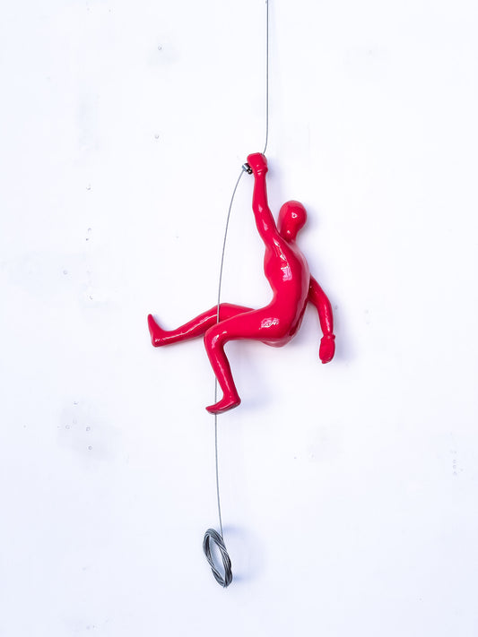 Salmon Climber