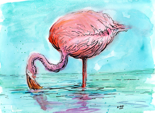 Flamingo