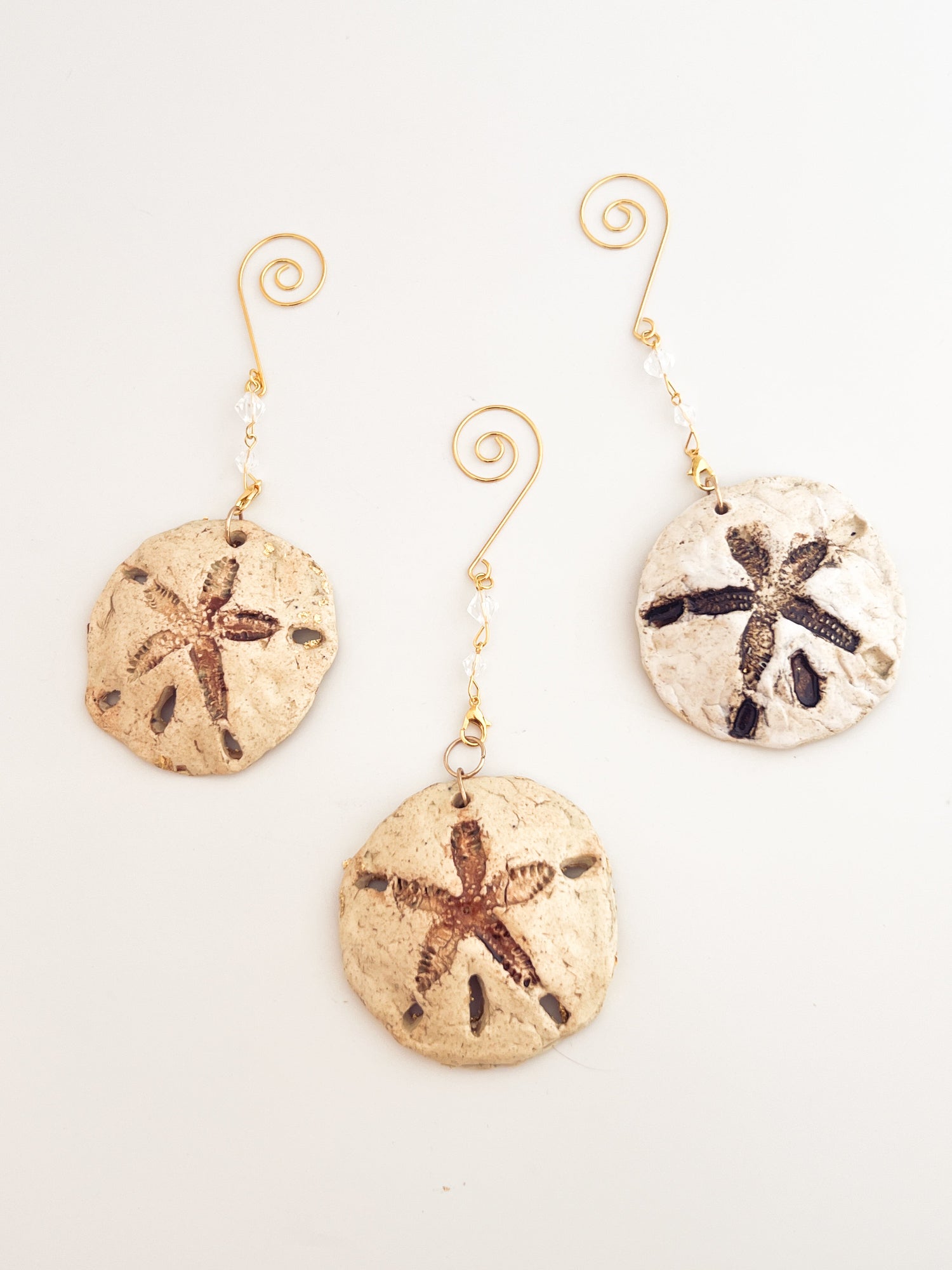 Sand dollar ornaments on a white background