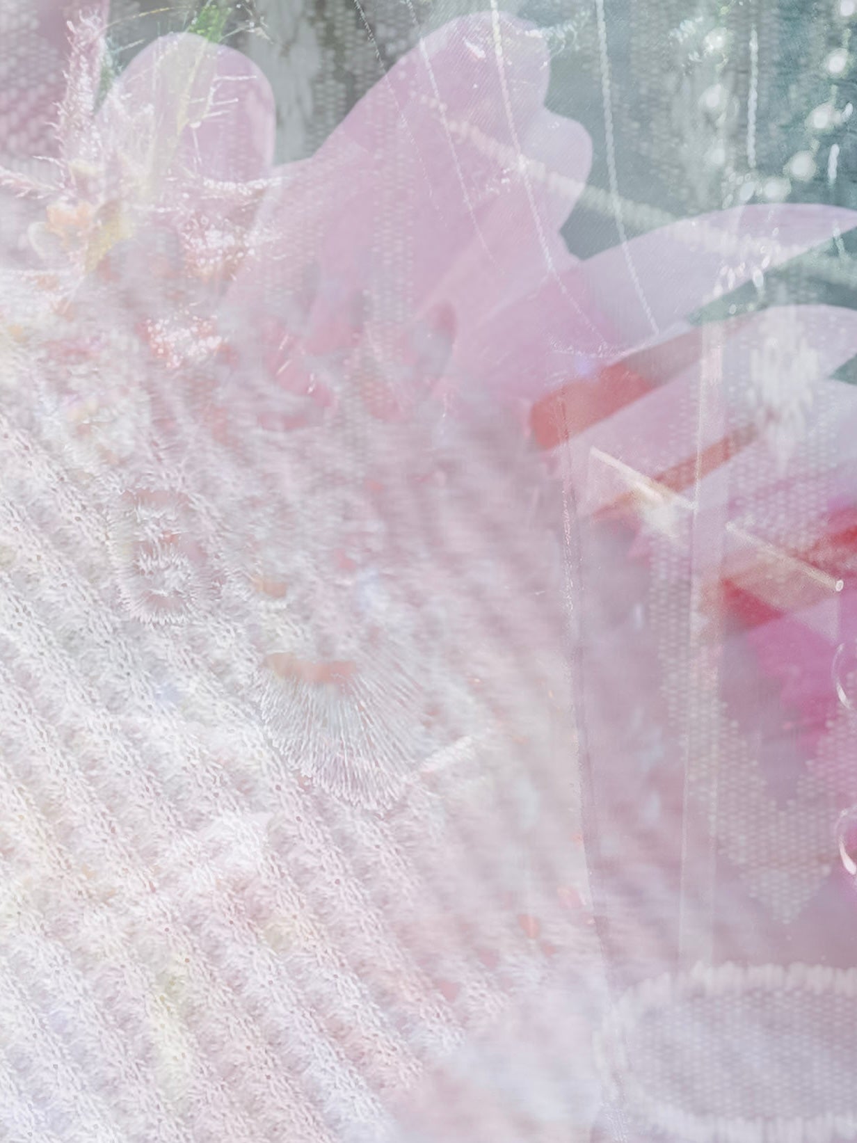 Lolita
