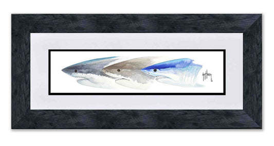 Shark Heads II