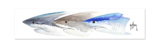 Shark Heads II