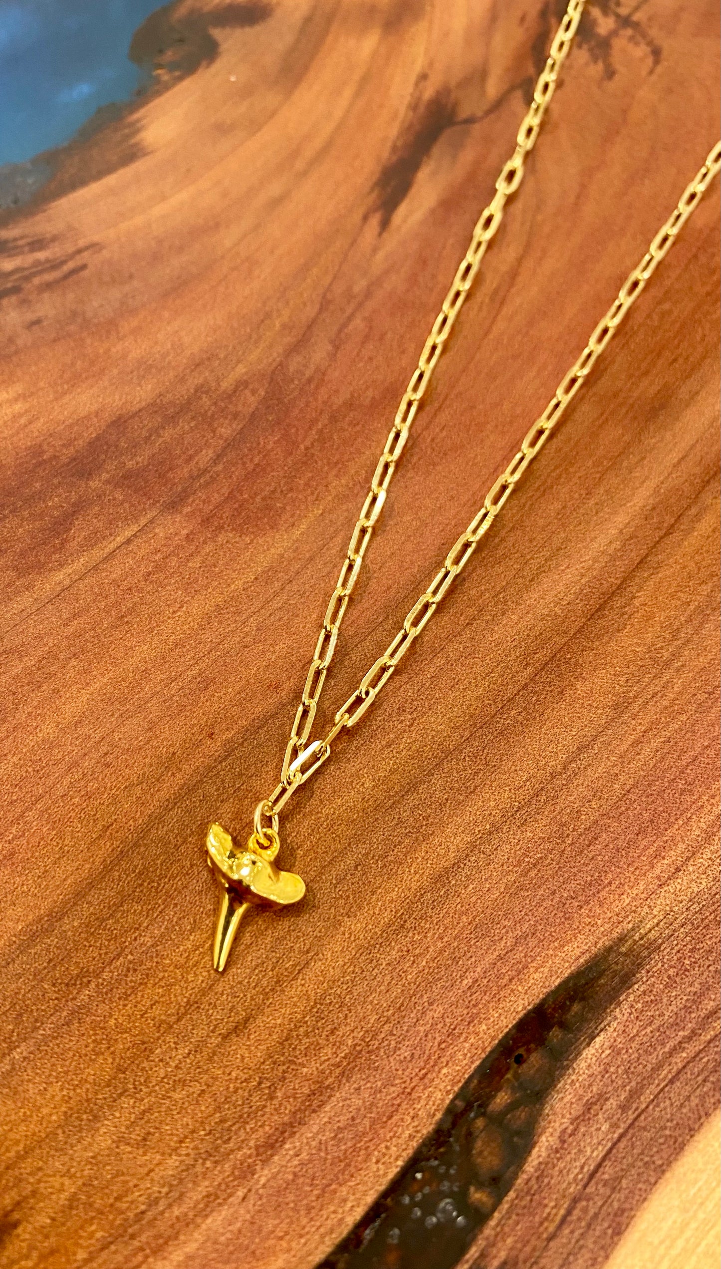 Gold Filled Shark Tooth Necklace
