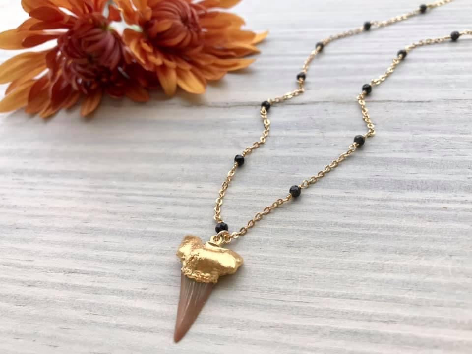 Brown Shark Tooth with Black Spinels