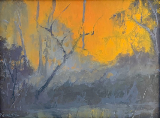 Swamp Light