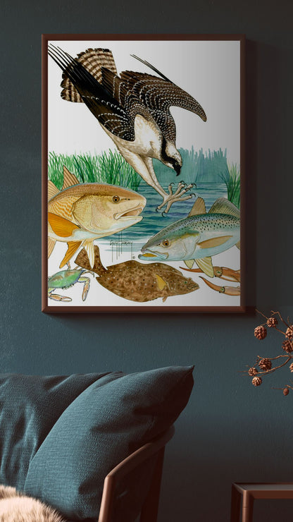 Gulf Life Osprey